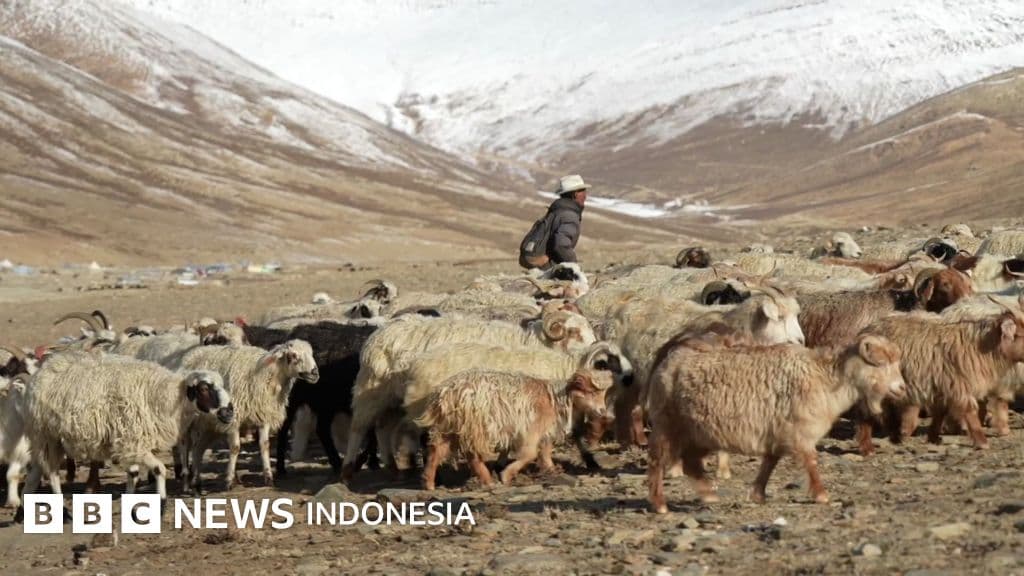 India Bangun PLTS Raksasa di Kashmir, Penggembala Muslim Terancam